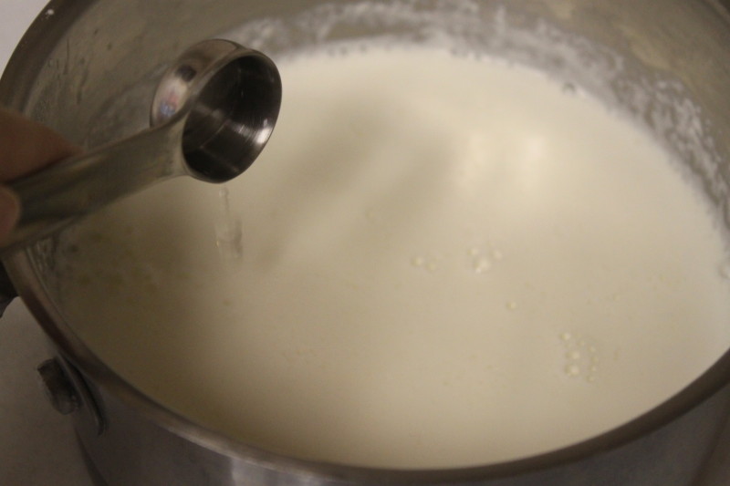 Pantry Made Cream Cheese (13)