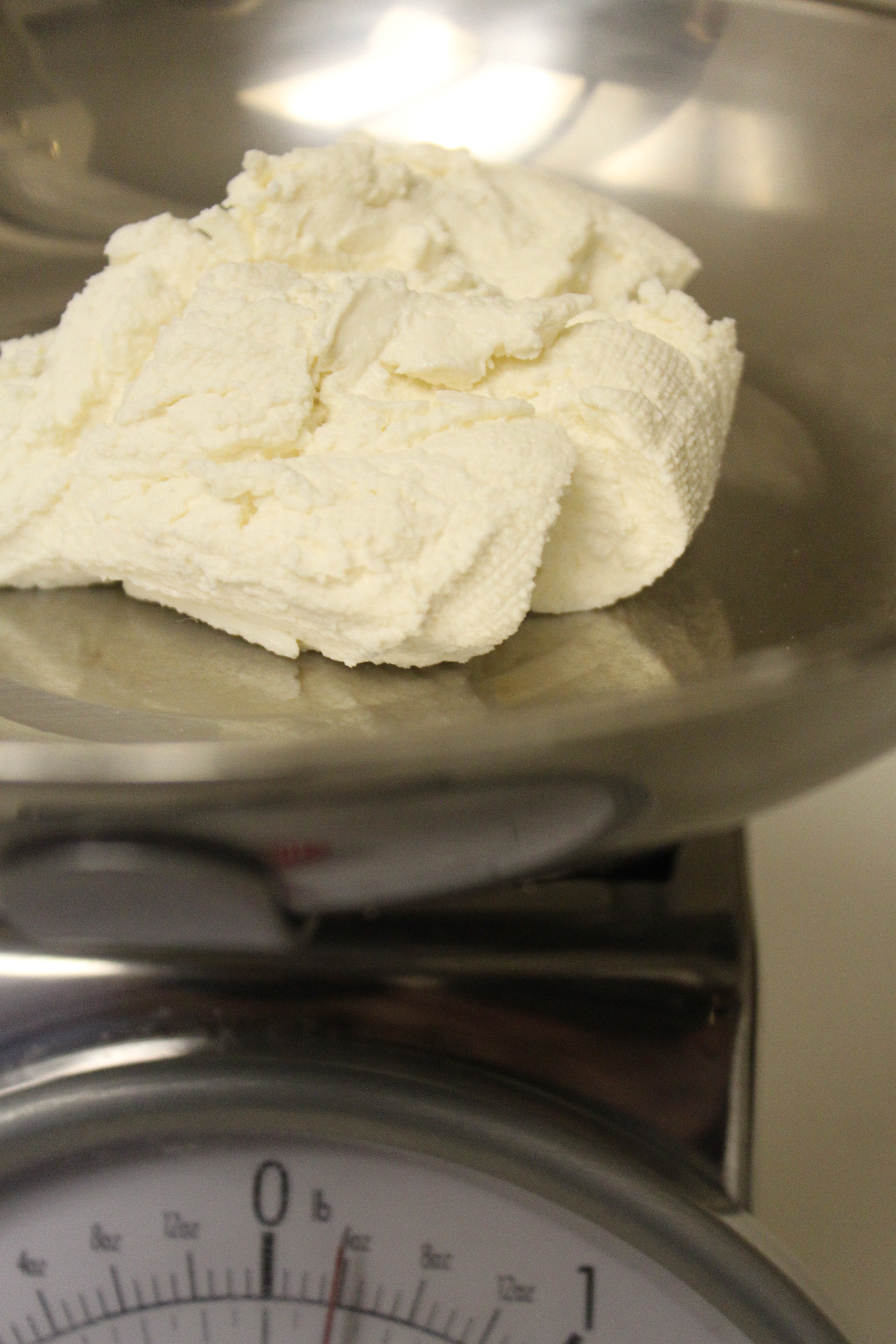 Pantry Made Cream Cheese (5)