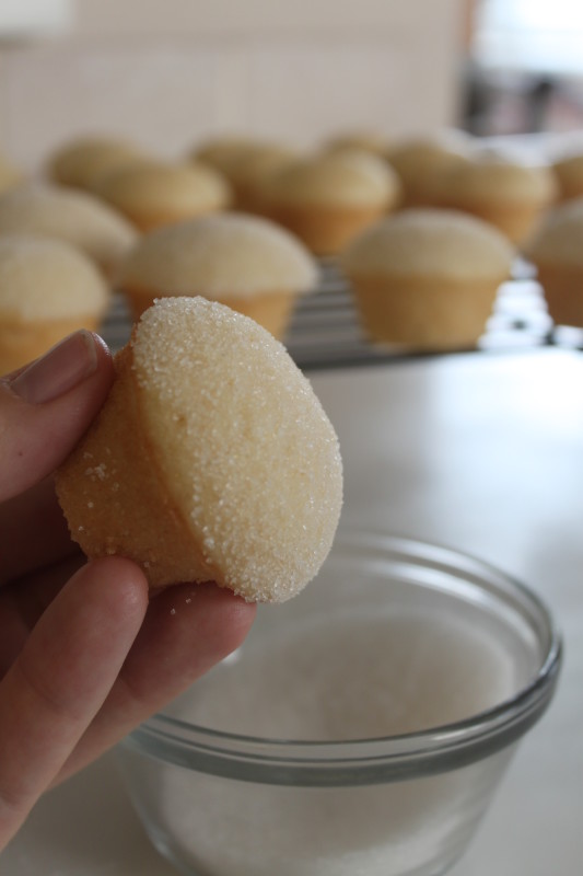 Sugar Donut Muffins (8)