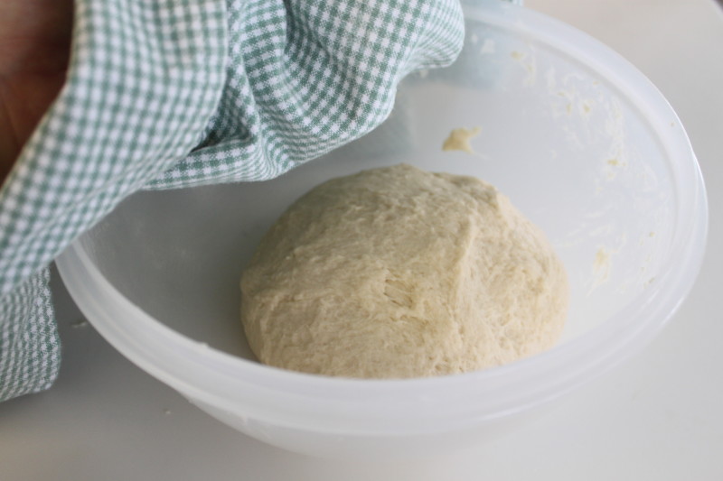 Flour Tortillas #2 (6)