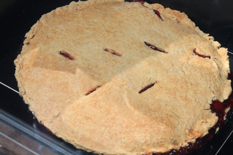 Easy Pantry Pie Crust (7)