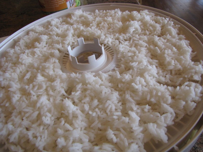 dehydrating rice (1)