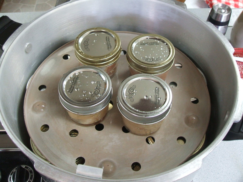 small jars in canner